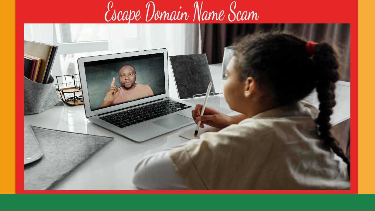 Read more about the article Big Scam- Stolen  Web-Domain names